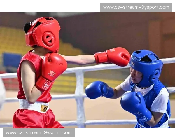 分析拳击：看透每一次出拳背后的智慧